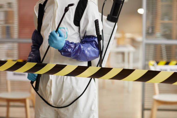 Professional Hoarding Cleanup technician working in Springport, IN
